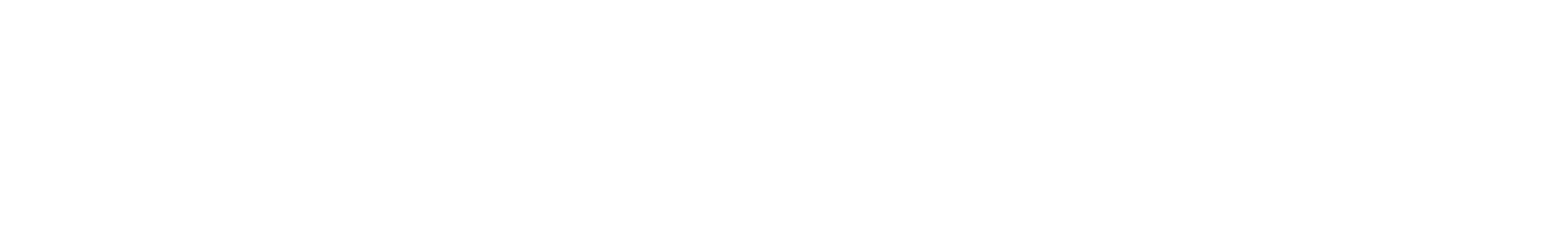 Raleigh Logo White